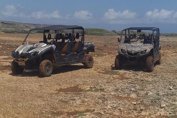 Um dia de Buggy